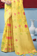 Organza Saree Design