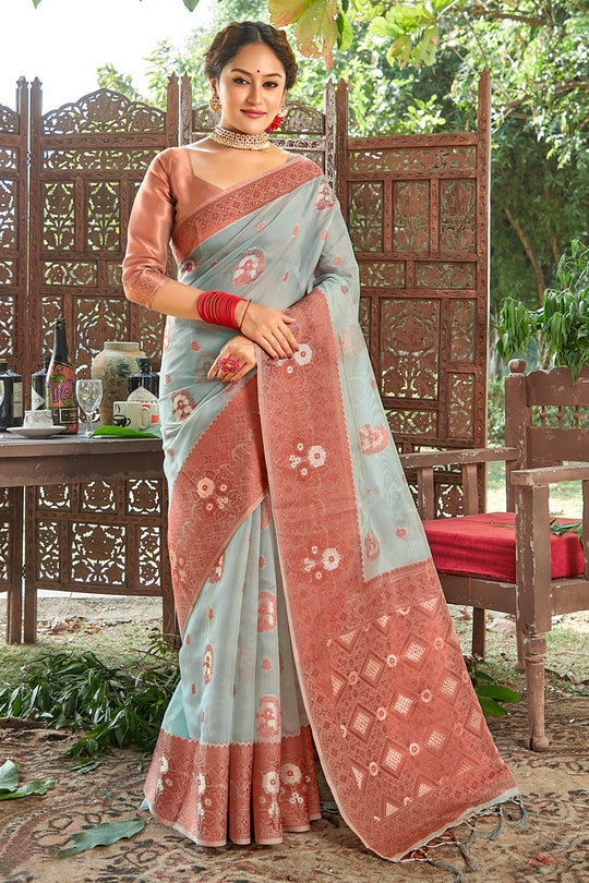 Coin Grey Organza Saree