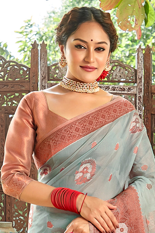 Coin Grey Organza Saree