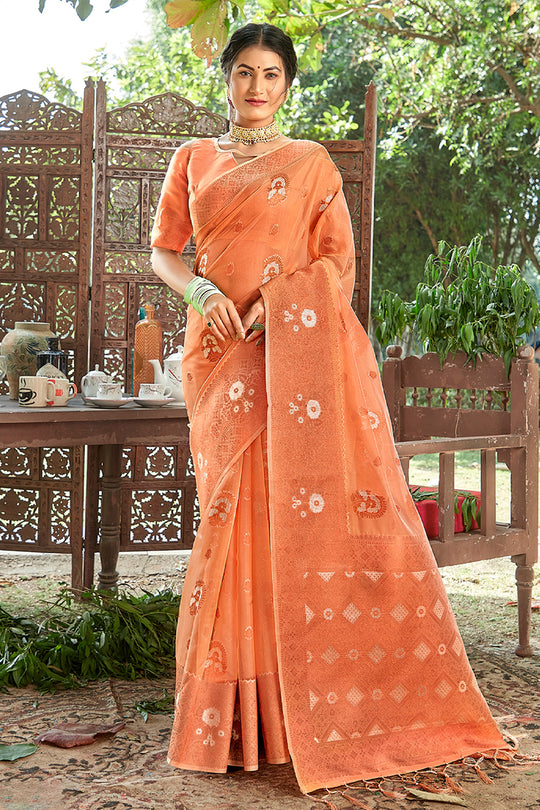 Cantaloupe Peach Organza Saree