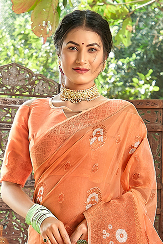 Cantaloupe Peach Organza Saree