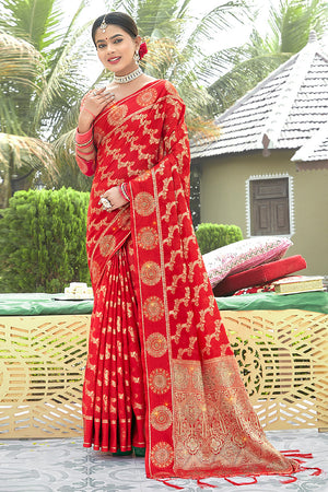 Scarlet Red Organza Saree