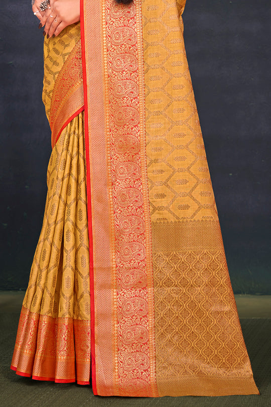 Cotton saree Design