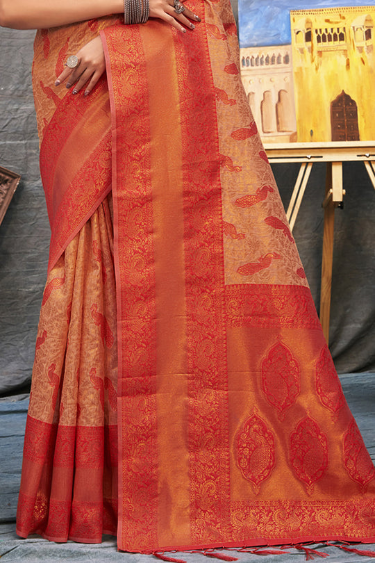 Organza Saree Design