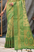 Organza Saree Design