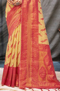 Organza Saree Design