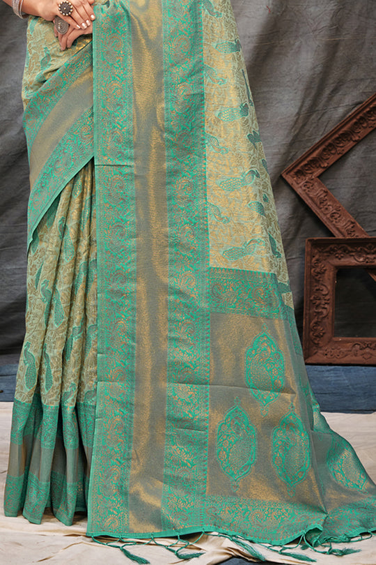 Organza Saree Design