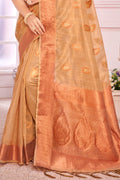 Organza Saree Design