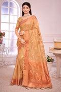 Organza Saree