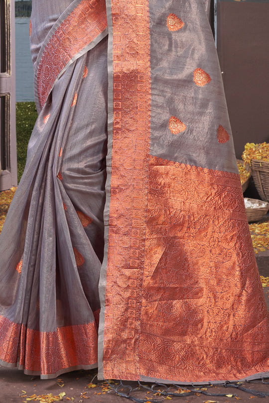 Organza Saree Design