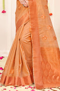 Organza Saree Design