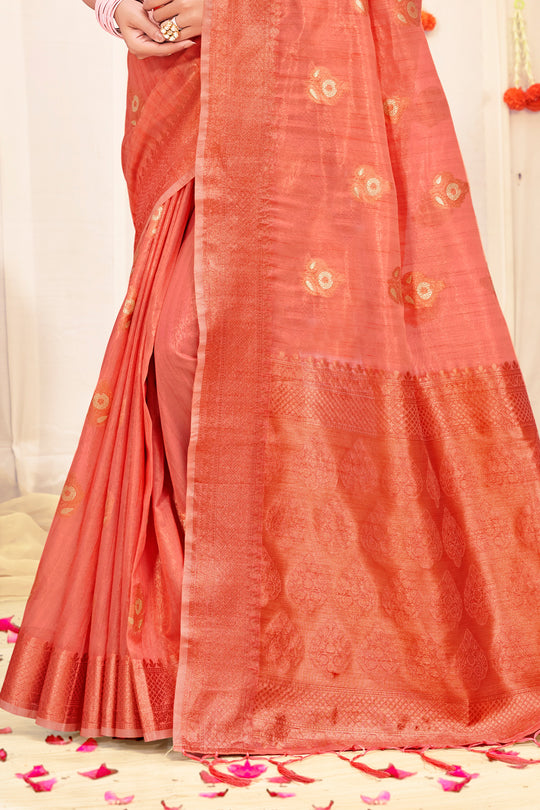 Organza Saree Design