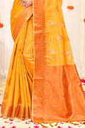 Organza Saree Design