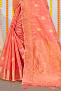 Organza Saree Design