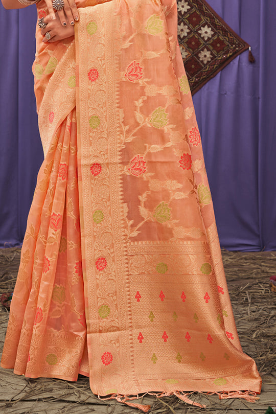 Organza Saree Design