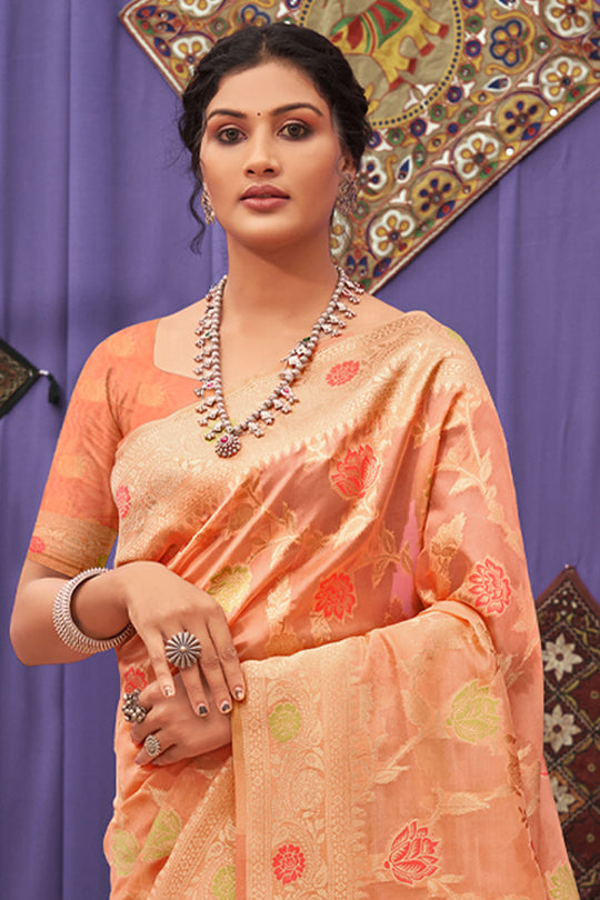 Creamsicle Orange Organza Saree