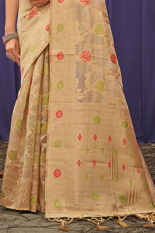 Organza Saree Design