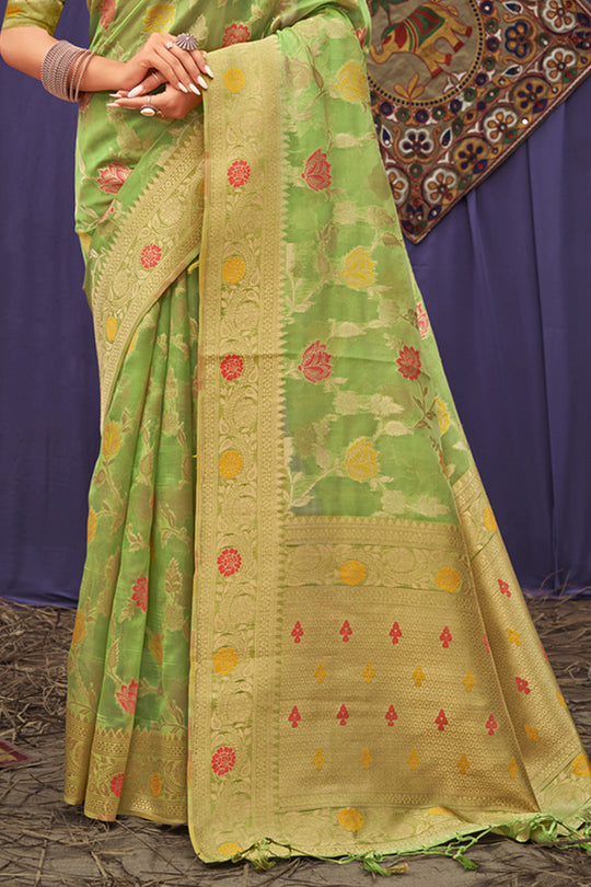 Organza Saree Design