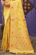 Organza Saree Design