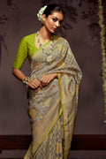 Brown And Green Brasso Saree