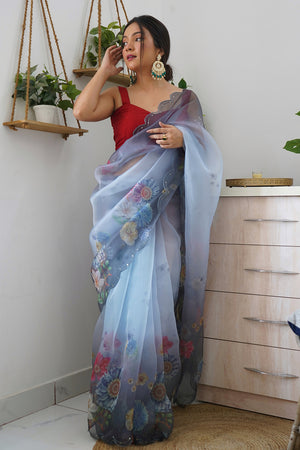Coin Grey Organza Saree