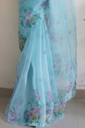 Organza Saree Design