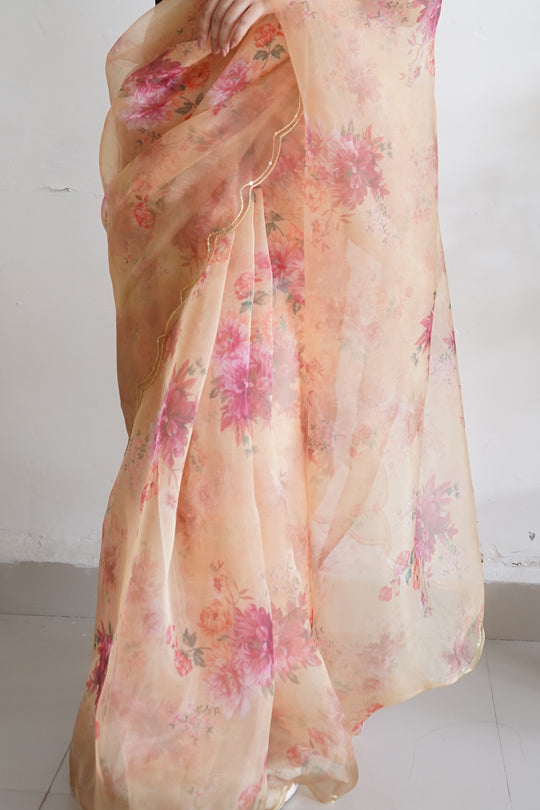 Organza Saree Design