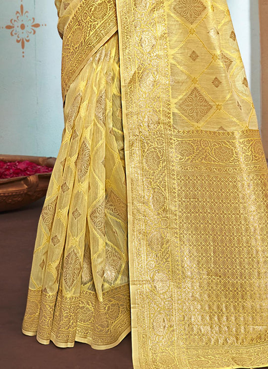 Organza Saree Design