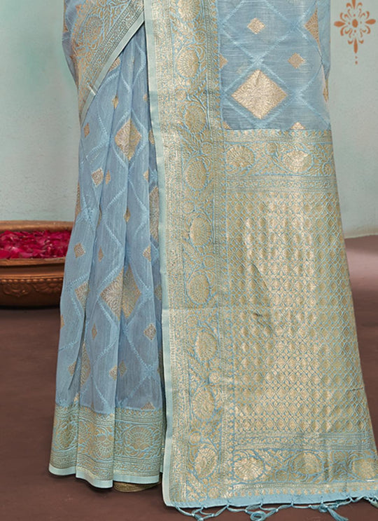 Organza Saree Design