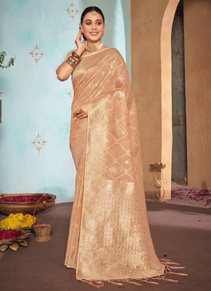 Creamsicle Orange Organza Saree