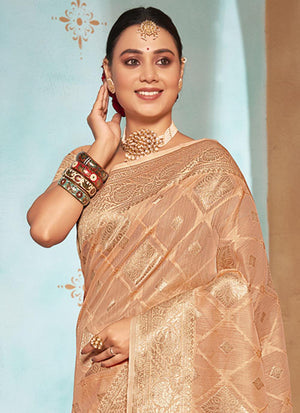 Creamsicle Orange Organza Saree