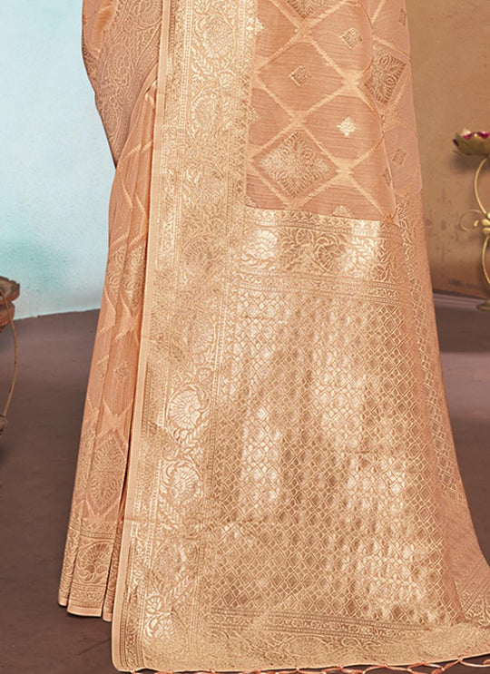 Organza Saree Design