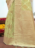 Organza Saree Design