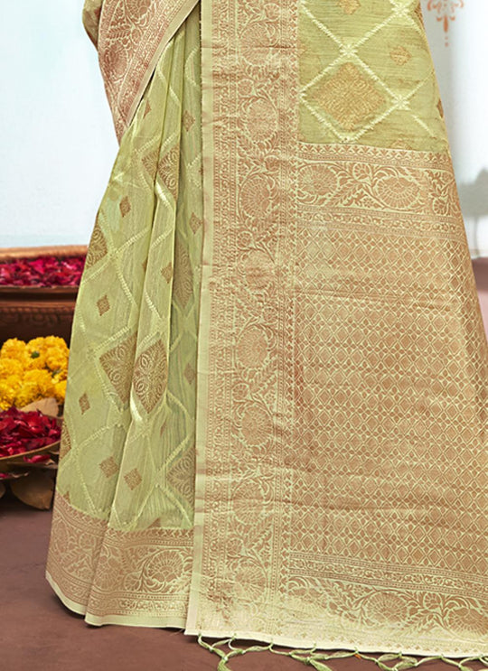 Organza Saree Design