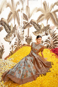 Coin Grey Silk Digital Print Saree