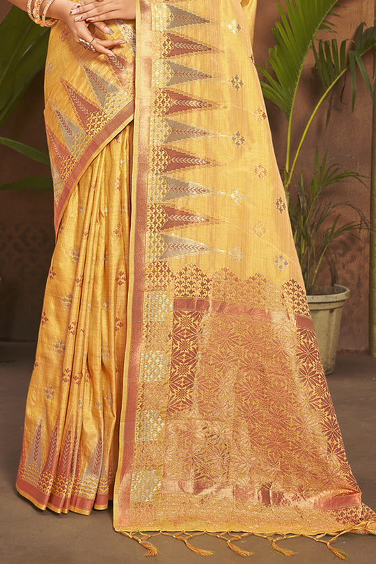 Organza Saree Design