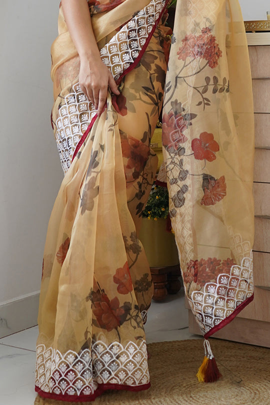 Organza Saree Design