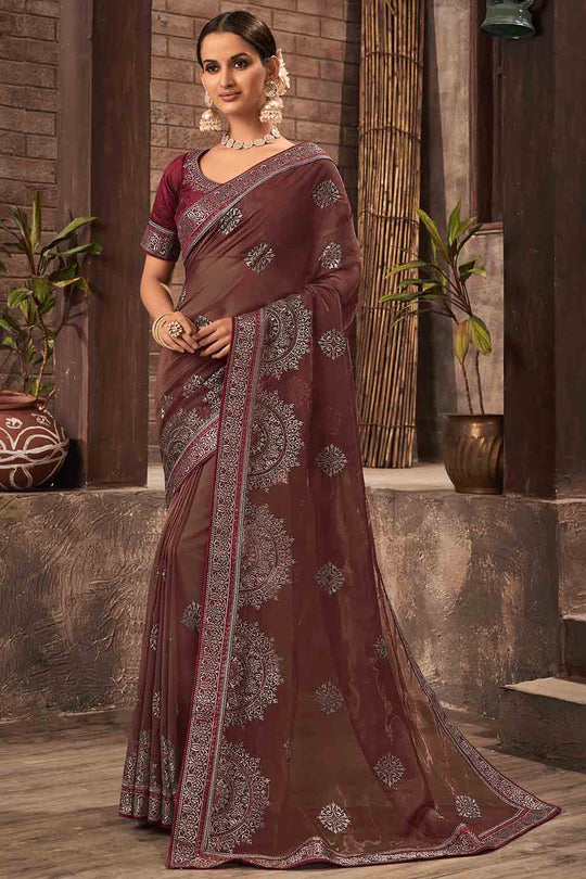 Light Brown Organza Saree