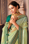 organza saree