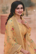 anarkali dress