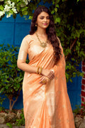 orange banarasi saree