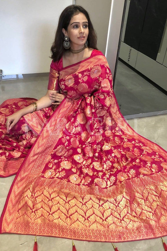 FENIL URMIGAR in Ruby Pink Banarasi Khaddi Georgette Saree