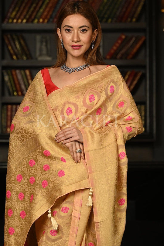 georgette saree