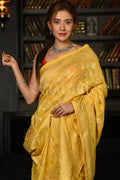 georgette banarasi saree