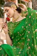 brasso saree