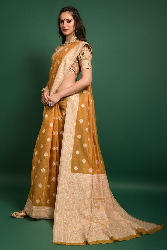 fancy saree