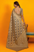 saree poses