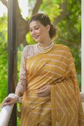 designer saree
