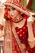 fancy saree