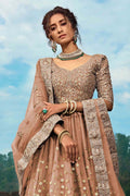 Caramel Brown Embroidered Soft Net Lehenga